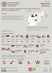 Afghanistan | Emergency livelihood assistance to safeguard food security and local food production